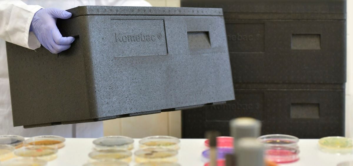 komebac léger