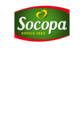 Logo-socopa